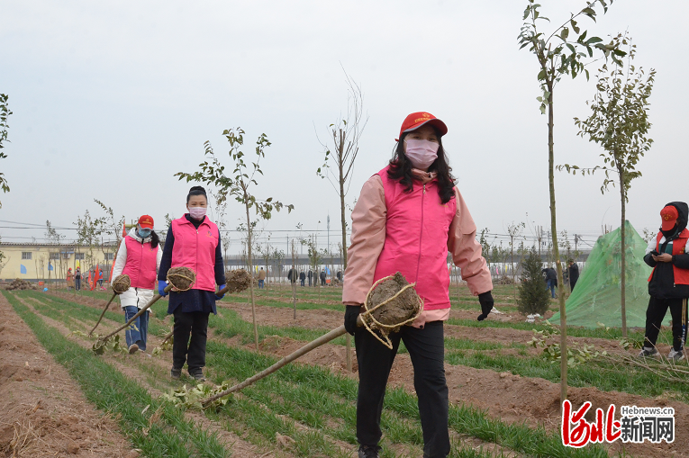 藁城快讯：河北最新动态