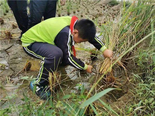 茅坡水库最新动态