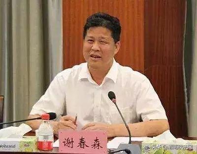 河源市副市长谢春森传递正能量，最新动态温暖人心