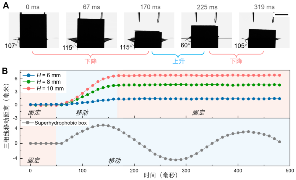 2025年1月21日 第15页