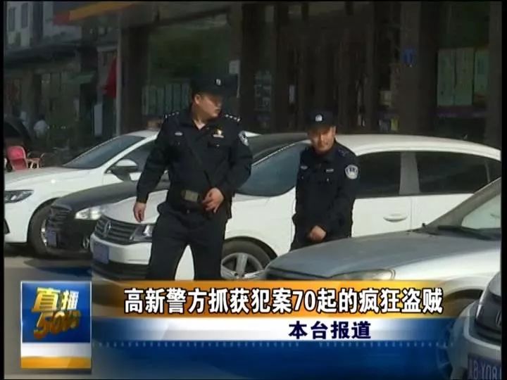 警方出击：揭秘最新一代盗贼团伙动向