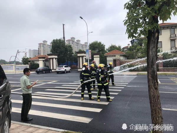 萍乡市实时天气速报：最新气象状况一览