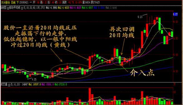 大冷股份最新动态：揭秘公司最新发展资讯