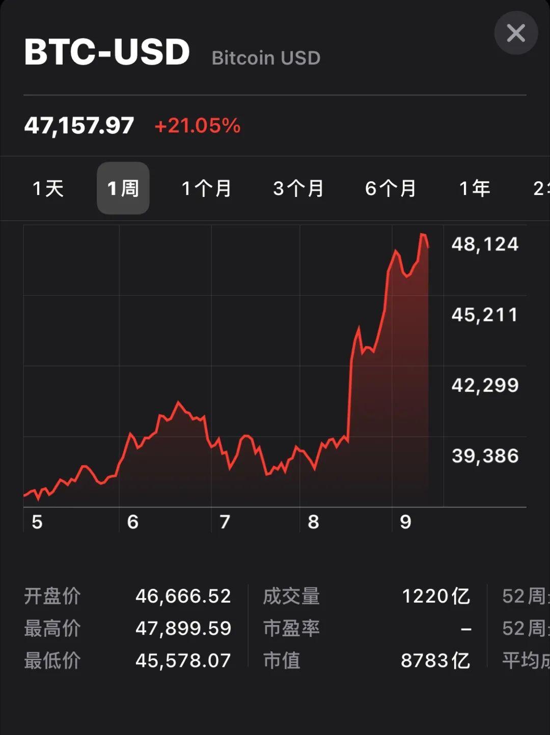 全新发布！震撼登场：巨型比特币热销中，抢购良机不容错过！