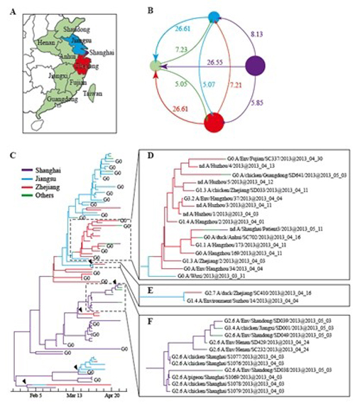 辽宁地区H7N9型禽流感最新动态及2025年趋势解读